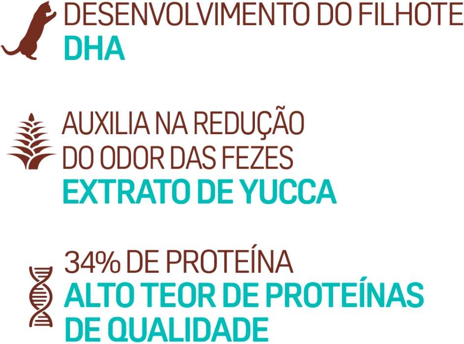 Ração Seca Balance Frango e Vegetais para Gatos Filhotes - 2,7Kg