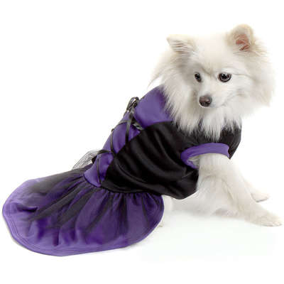 Vestido Bichinho Chic Bruxinha Halloween Roxo