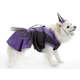 Vestido Bichinho Chic Bruxinha Halloween Roxo