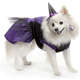 Vestido Bichinho Chic Bruxinha Halloween Roxo