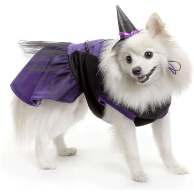 Vestido Bichinho Chic Bruxinha Halloween Roxo