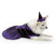 Vestido Bichinho Chic Bruxinha Halloween Roxo