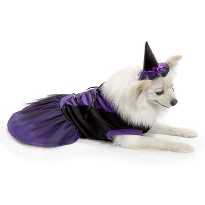 Vestido Bichinho Chic Bruxinha Halloween Roxo
