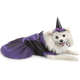 Vestido Bichinho Chic Bruxinha Halloween Roxo
