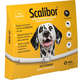 Coleira MSD Scalibor Antiparasitas para Cães