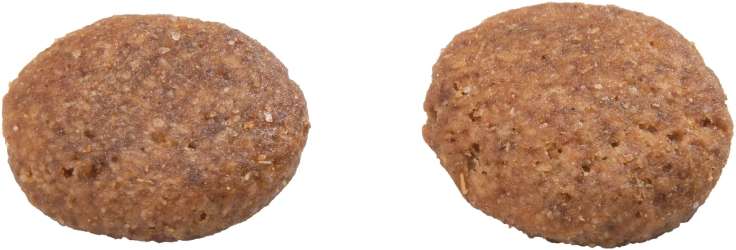Ração GranPlus Menu Carne e Arroz para Cães Adultos - 20Kg