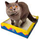 31027532487_Bandeja Descartável CatMyPet Gatotô