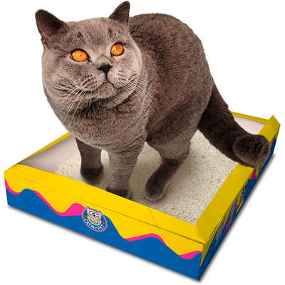 31027532487_Bandeja Descartável CatMyPet Gatotô