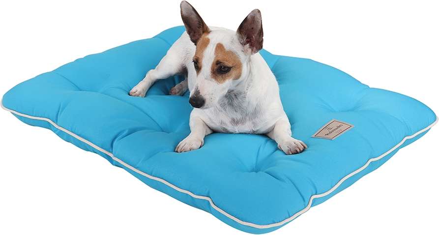 Almofada Almofadog Ultra Soft Azul - Tam. M