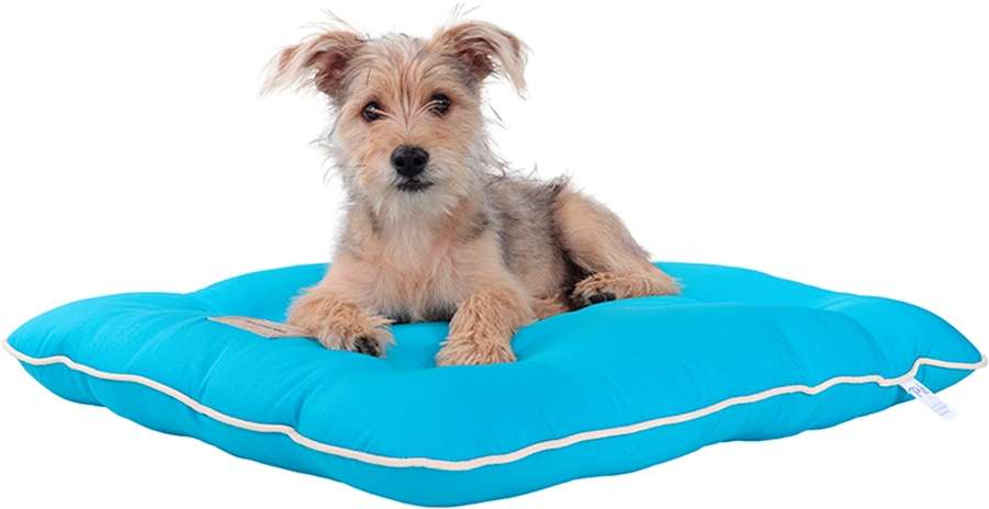 Almofada Almofadog Ultra Soft Azul - Tam. M