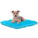 Almofada Almofadog Ultra Soft Azul