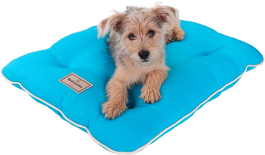 Almofada Almofadog Ultra Soft Azul - Tam. M