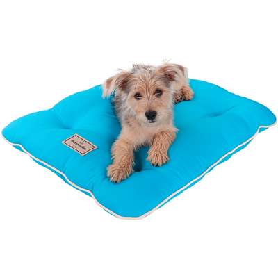Almofada Almofadog Ultra Soft Azul