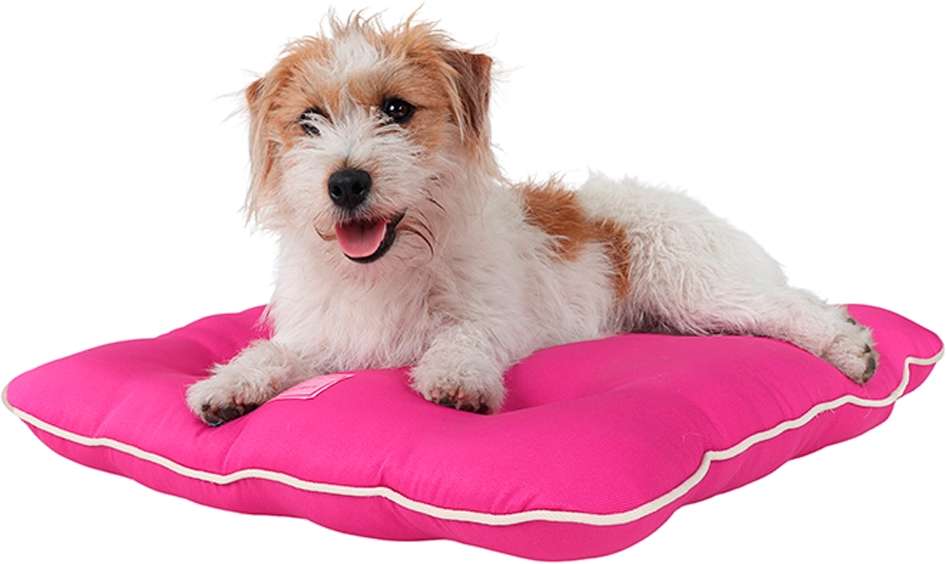 Almofada Almofadog Ultra Soft Rosa - Tam. G
