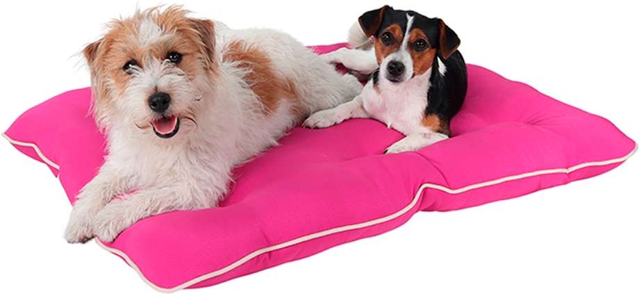 Almofada Almofadog Ultra Soft Rosa - Tam. G