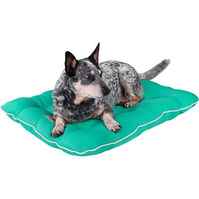 Almofada Almofadog Ultra Soft Menta
