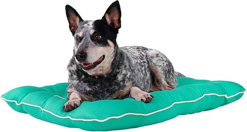 Almofada Almofadog Ultra Soft Menta - Tam. G