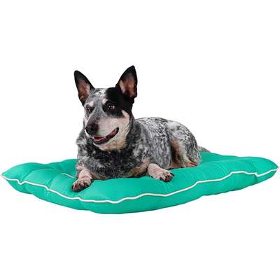 Almofada Almofadog Ultra Soft Menta