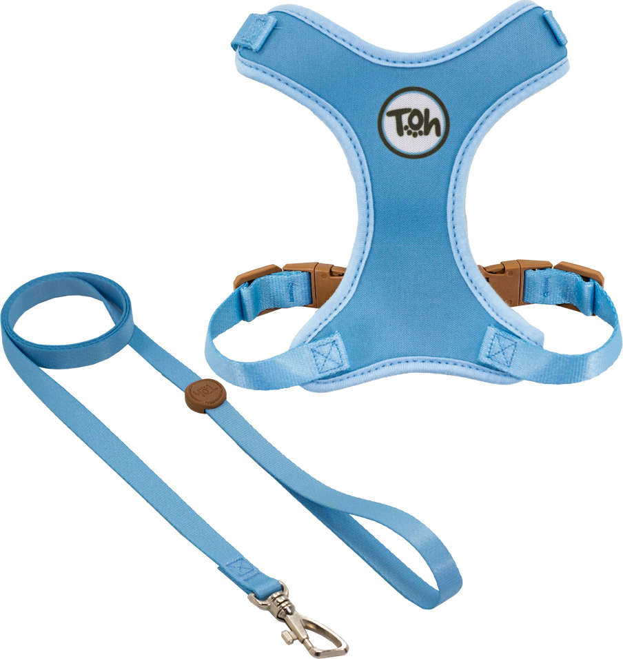 Conjunto Peitoral H Neo U Azul para Gatos - Tam. Único