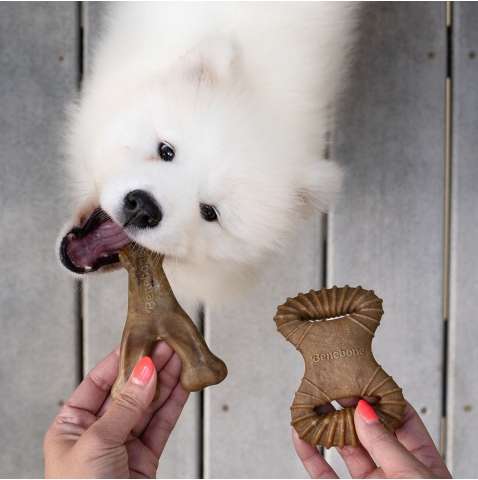 Brinquedo Benebone Puppy Pack Bacon (640400) - 2 Unidades