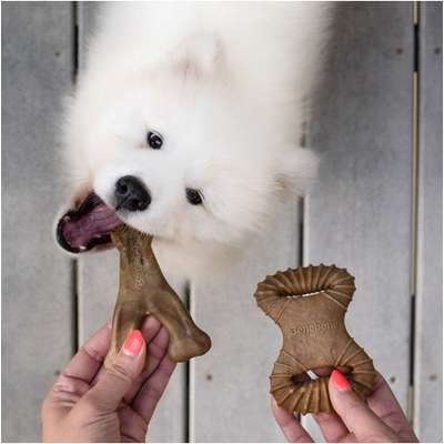 Brinquedo Benebone Puppy Pack Bacon