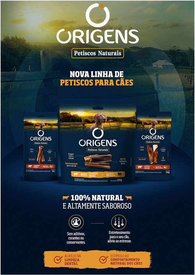 Petisco Origens para Cães Adultos Porte Pequeno Dental - 1 Unidade