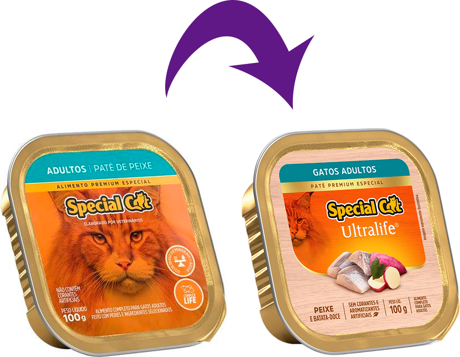 Ração Úmida Special Cat Patê Peixe para Gatos Adultos - 100 g
