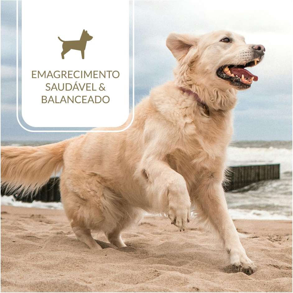 Ração Nutrilus Light Frango para Cães Adultos Raças Médias e Grandes - 15Kg