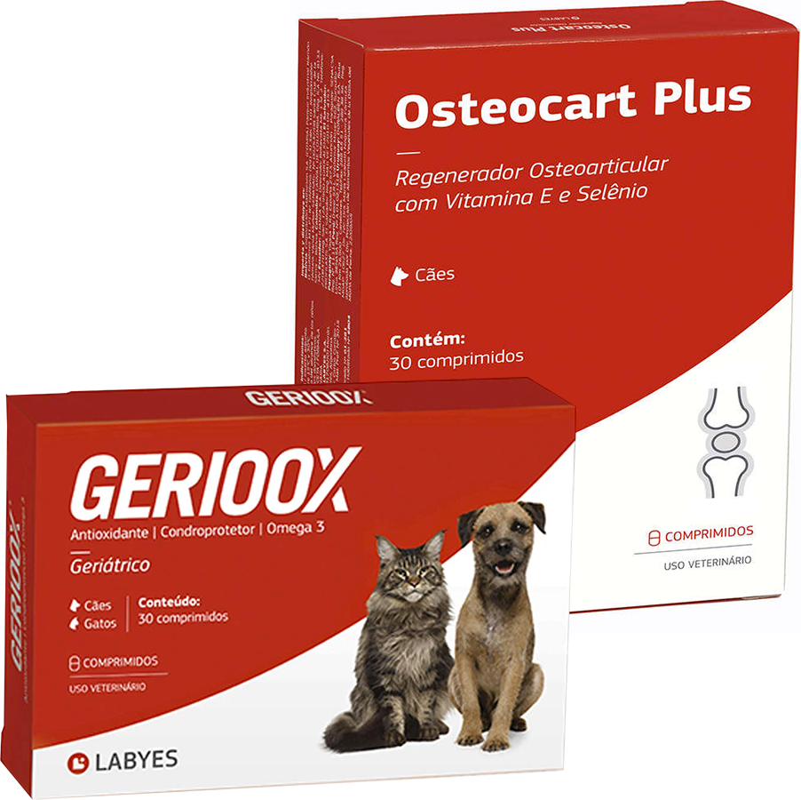 Kit Labyes Antioxidante Gerioox Condroprotetor e Regenerador Osteoarticular Osteocart Plus - KIT