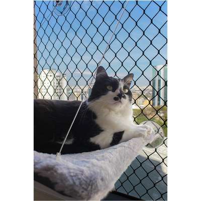Cama de Janela Fábrica Pet Altezza Cinza para Gatos