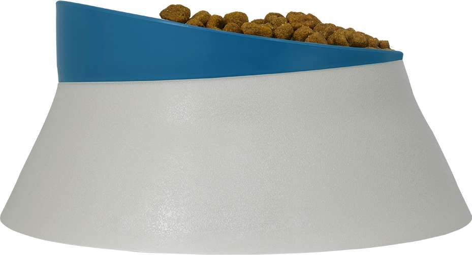 Comedouro Família de Estimação Azul para Cães - Tam. P