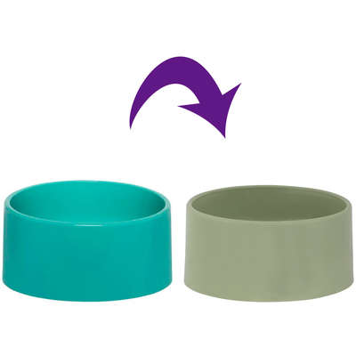 Comedouro Família de Estimação Slim Verde para Cães