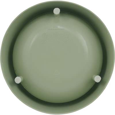 Comedouro Família de Estimação Slim Verde para Cães