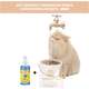 Kit Catmypet Bebedouro Fonte e Spray Erva do Gato Gold - KIT
