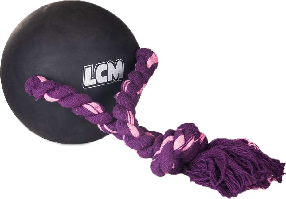 Brinquedo Bola com Corda LCM Extraforte para Cães - Tam. Único