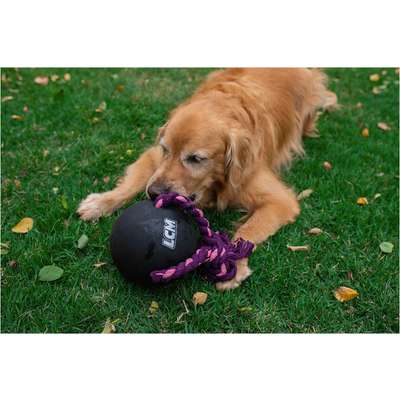 Brinquedo Bola com Corda LCM Extraforte para Cães