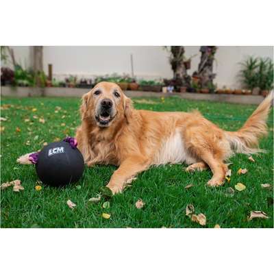 Brinquedo Bola com Corda LCM Extraforte para Cães