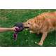 Brinquedo Bola com Corda LCM Extraforte para Cães