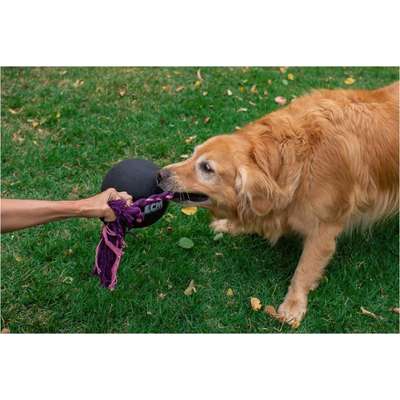 Brinquedo Bola com Corda LCM Extraforte para Cães