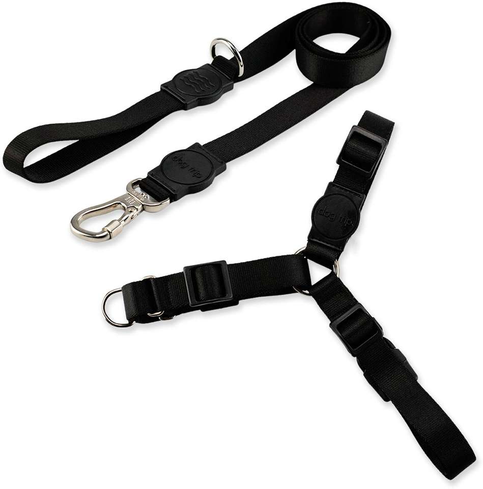 Kit Guia Premium + Peitoral Antipuxão Dog Trip Brasil Classic Black para Cães - Tam. M