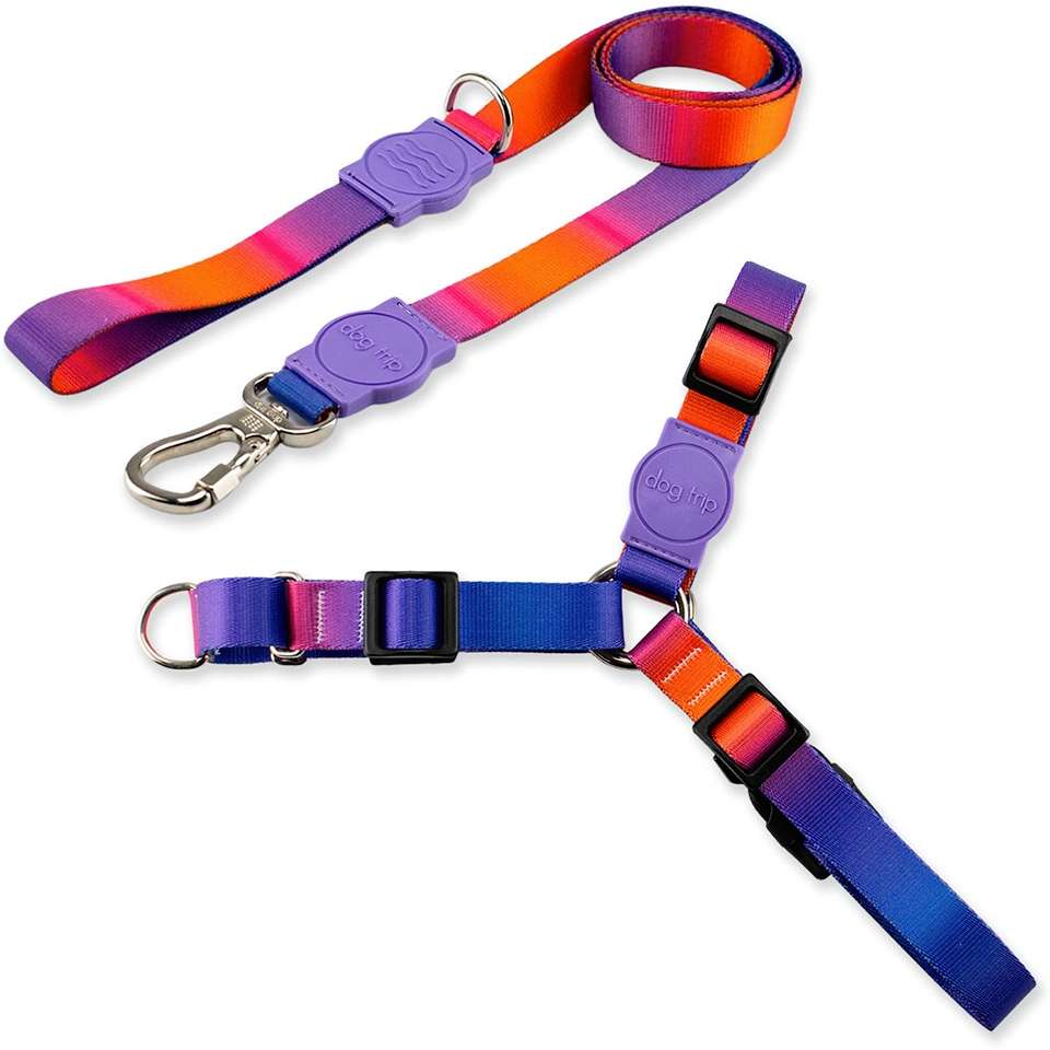 Kit Guia Premium + Peitoral Antipuxão Dog Trip Brasil Padang para Cães - Tam. G