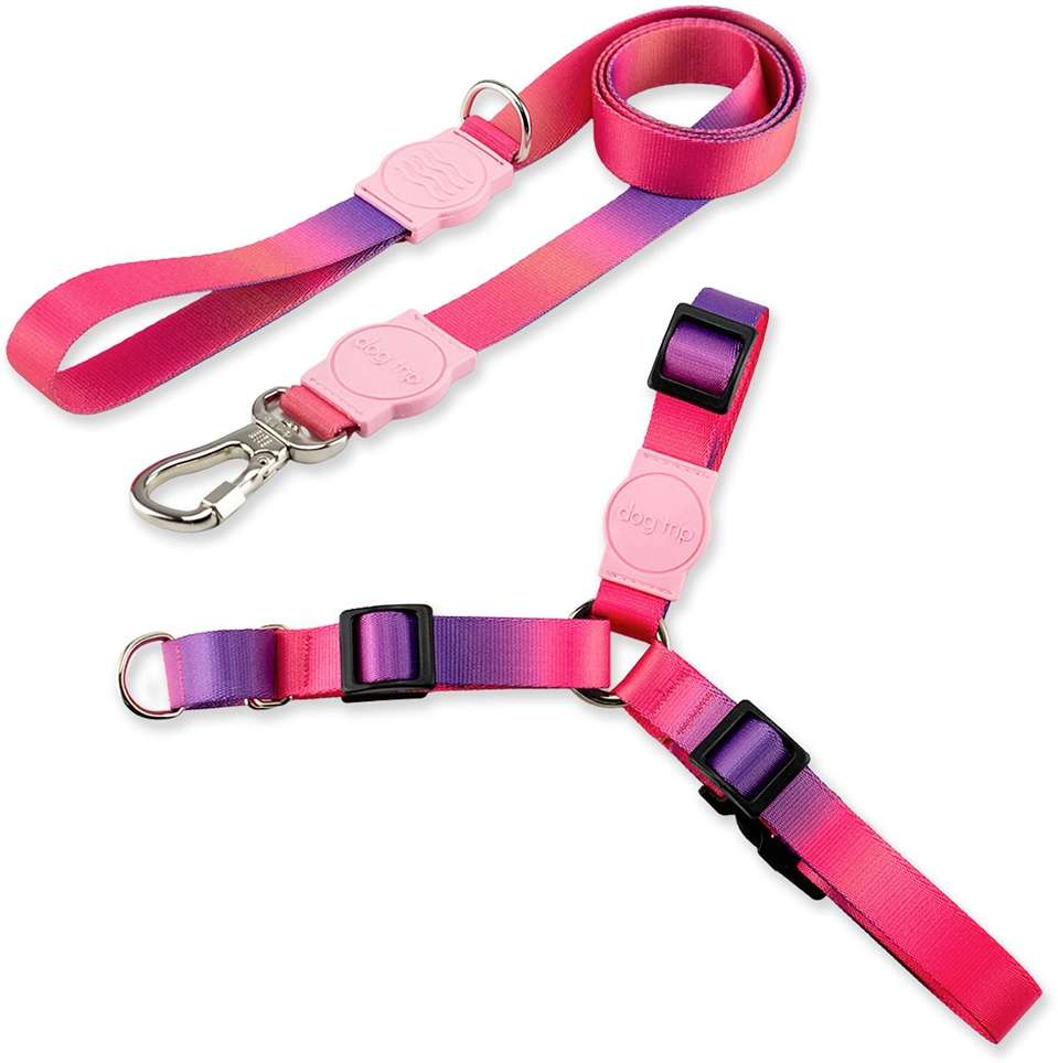 Kit Guia Premium + Peitoral Antipuxão Dog Trip Brasil Peniche para Cães - Tam. G