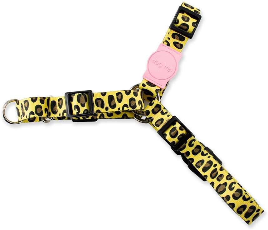 Kit Guia Premium + Peitoral Antipuxão Dog Trip Brasil Guma para Cães - Tam. PP