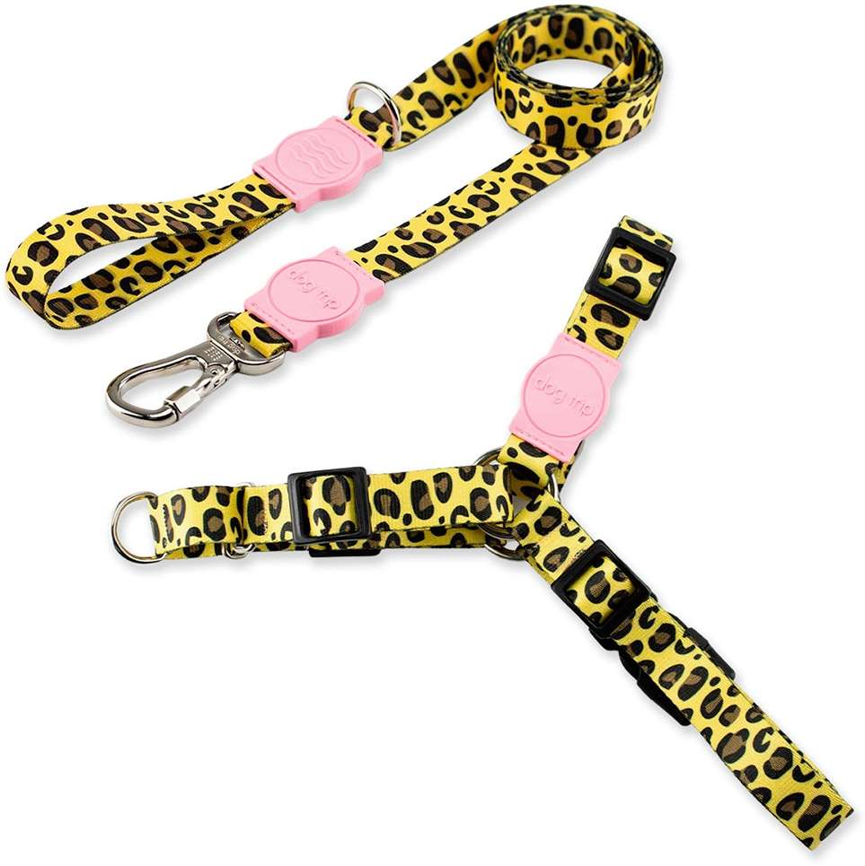 Kit Guia Premium + Peitoral Antipuxão Dog Trip Brasil Guma para Cães - Tam. PP