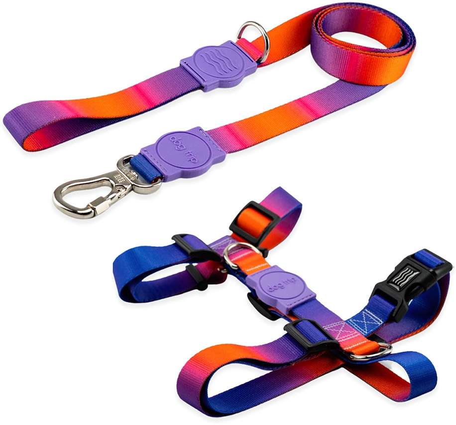 Kit Guia Premium + Peitoral H Dog Trip Brasil Padang para Cães - Tam. PP