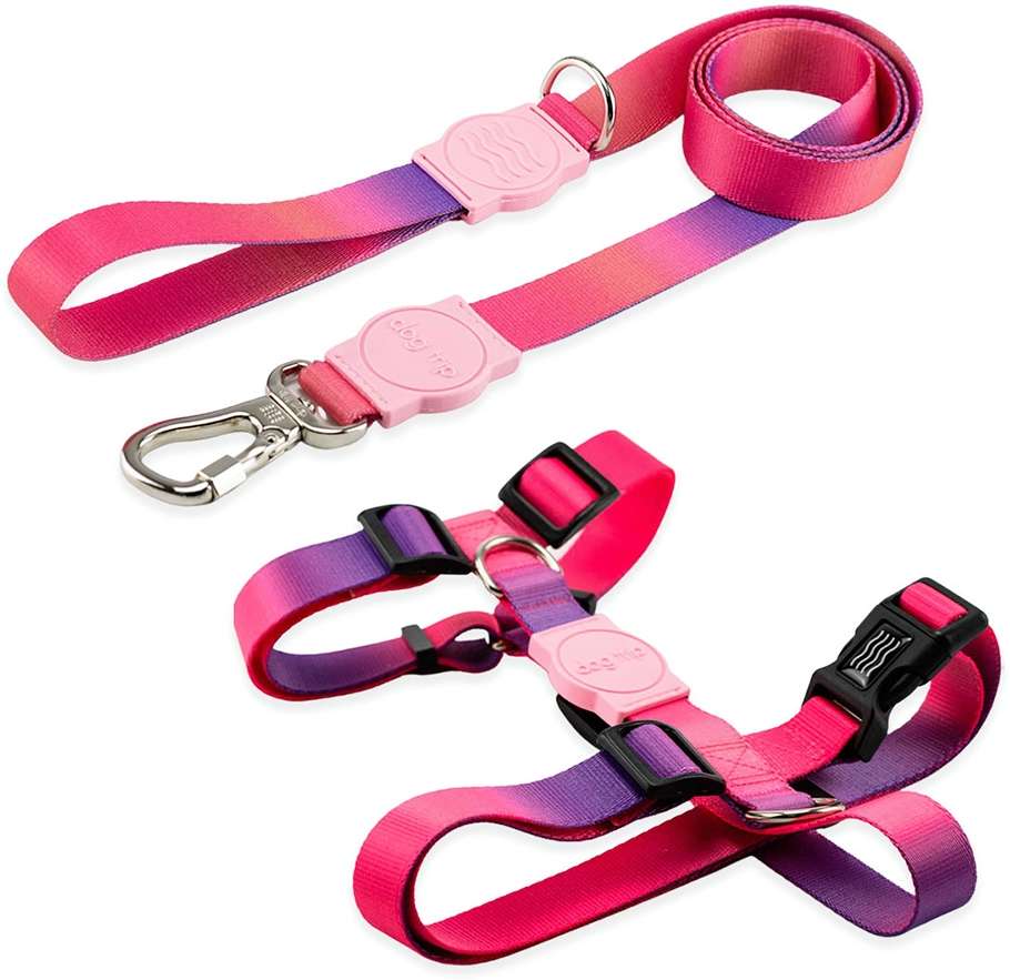 Kit Guia Premium + Peitoral H Dog Trip Brasil Peniche para Cães - Tam. M