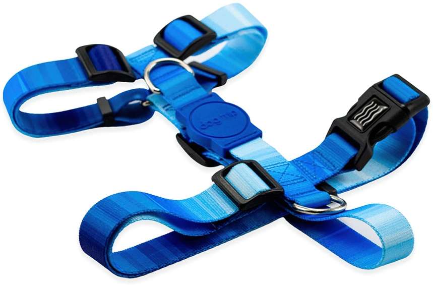 Kit Guia Premium + Peitoral H Dog Trip Brasil Maldives para Cães - Tam. G