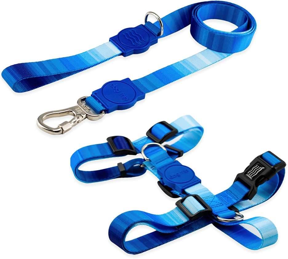 Kit Guia Premium + Peitoral H Dog Trip Brasil Maldives para Cães - Tam. G