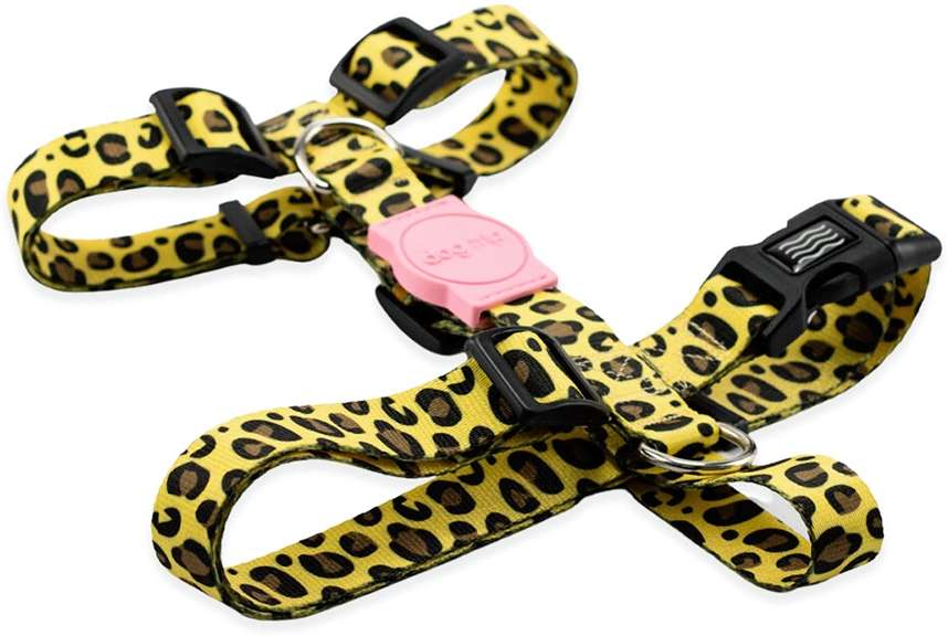 Kit Guia Premium + Peitoral H Dog Trip Brasil Guma para Cães - Tam. M