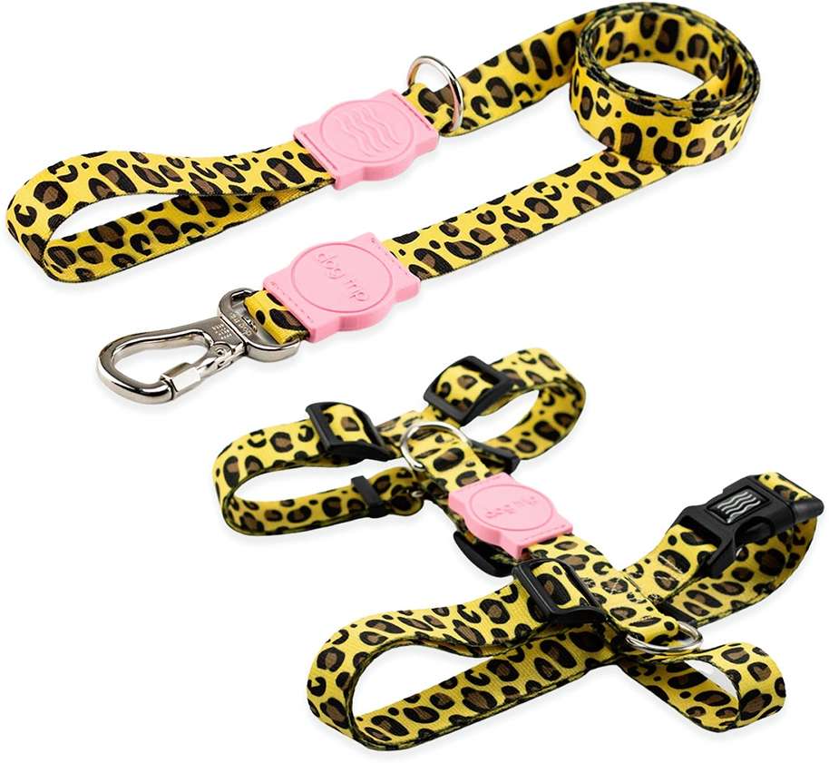Kit Guia Premium + Peitoral H Dog Trip Brasil Guma para Cães - Tam. M